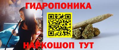 индика Кунгур