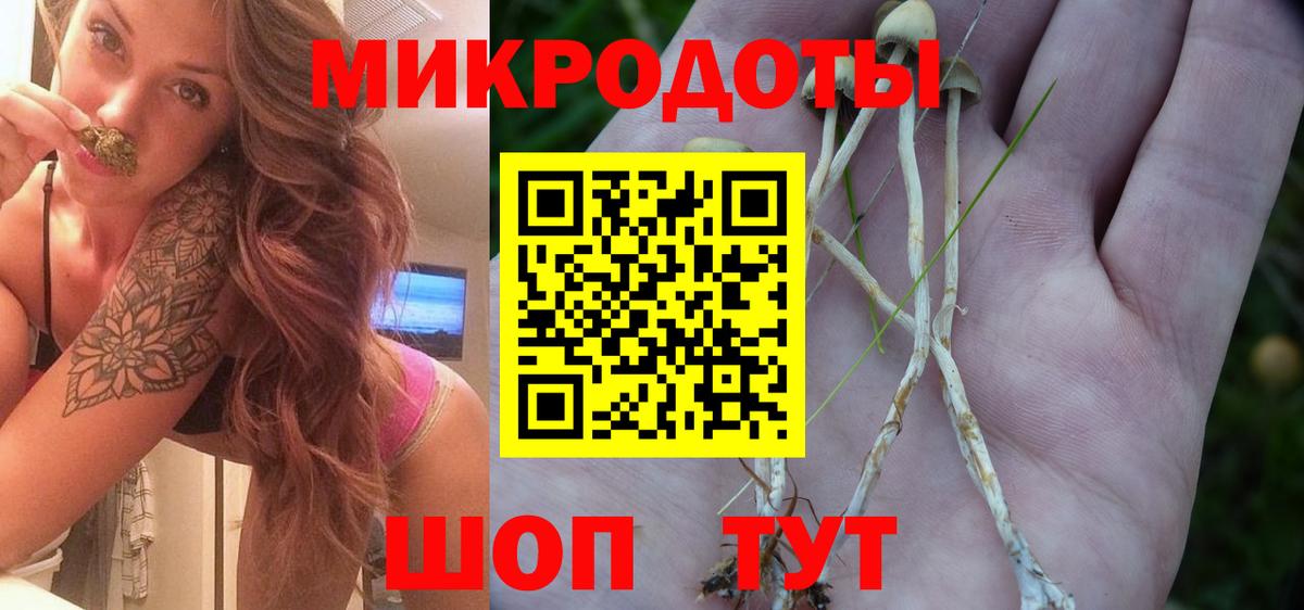 Галлюциногенные грибы Psilocybine cubensis  Вход с VPN  Гудермес 
