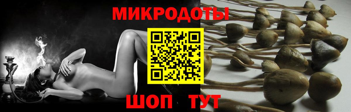 Псилоцибиновые грибы Psilocybine cubensis Гудермес